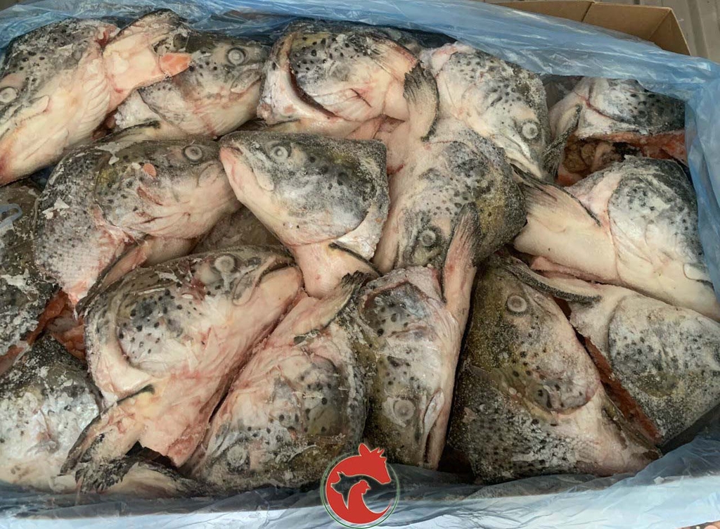 Đầu Cá Hồi