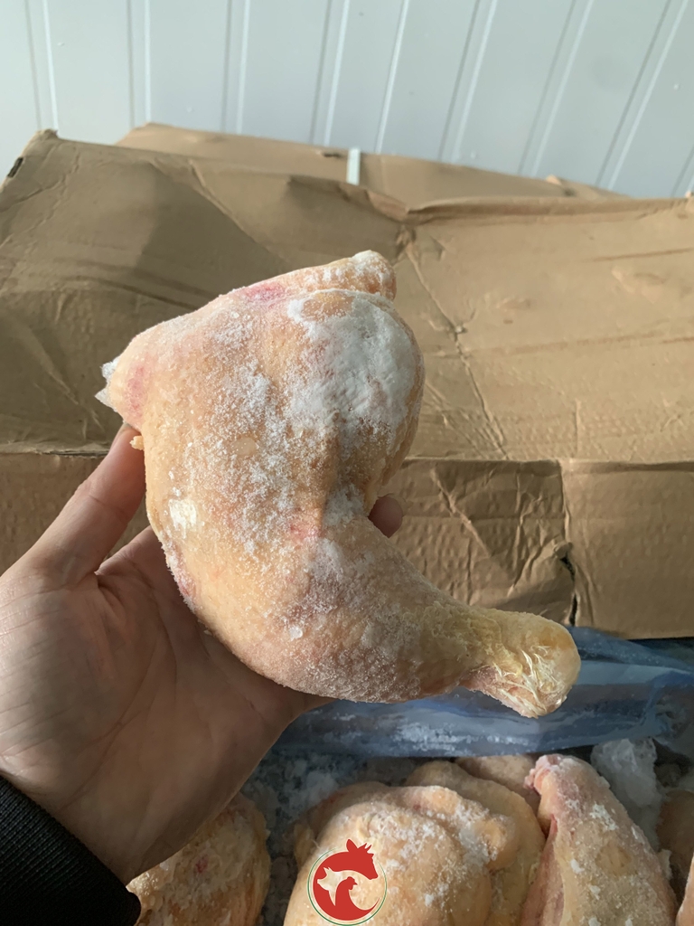 dui-ga-goc-tu-nhap-khau