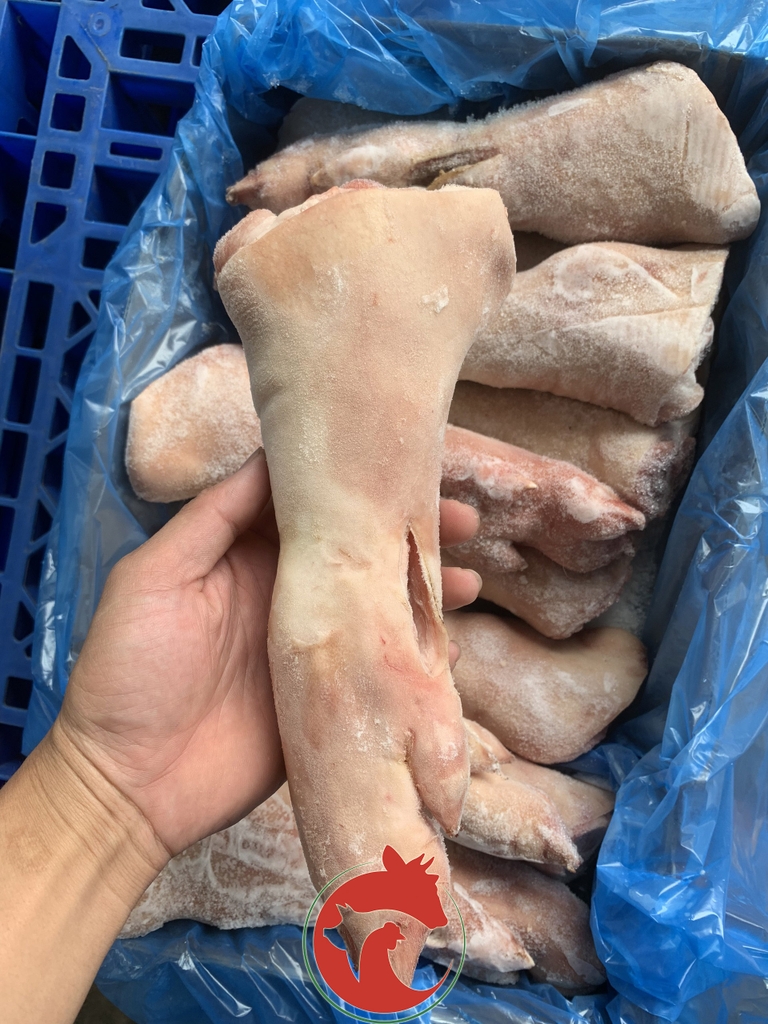 Dựng heo sau (Giò gân)