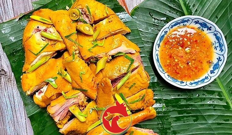 Gà dai nguyên con