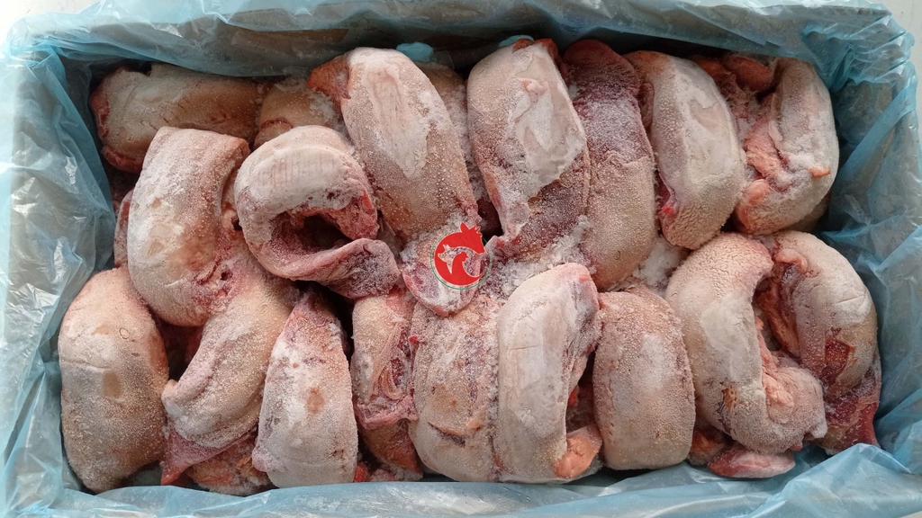 Lưỡi heo không cuống