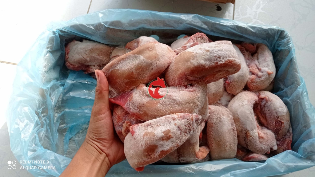 Lưỡi heo không cuống