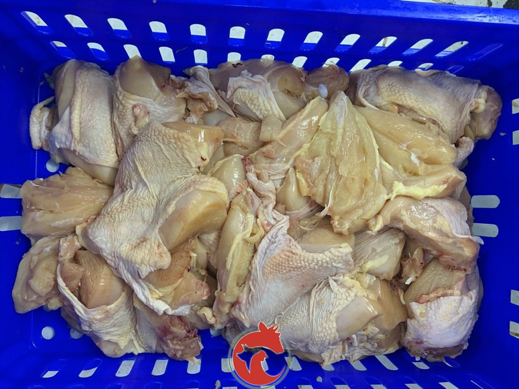 phi-le-ga-co-da-tuoi-sach