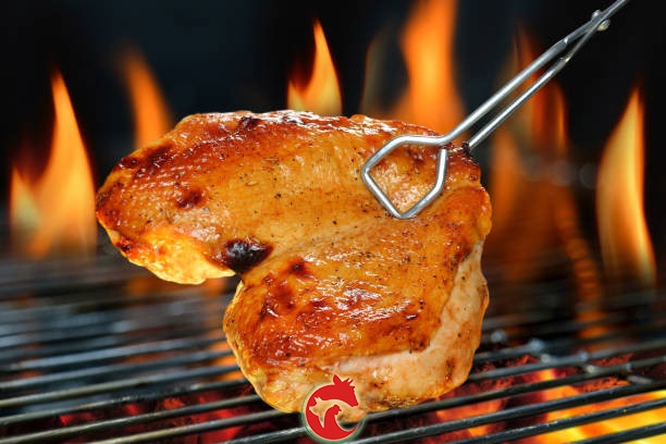 phi-le-ga-co-da-tuoi-sach