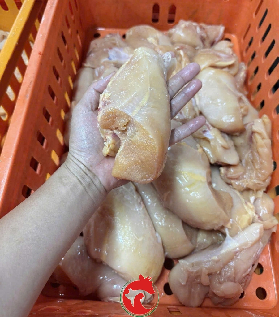 ỨC_GÀ_PHI_LÊ_GIÁ_TỐT