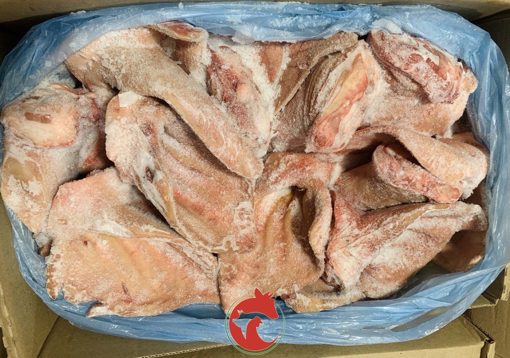 tai-heo-gia-si