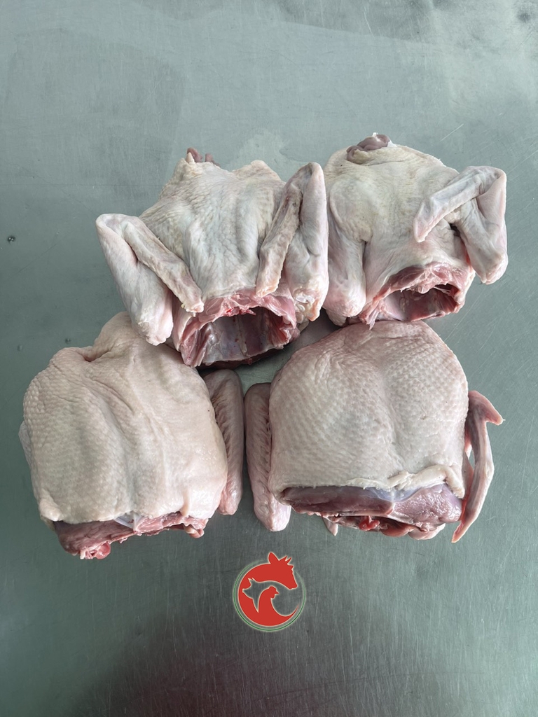Ức vịt