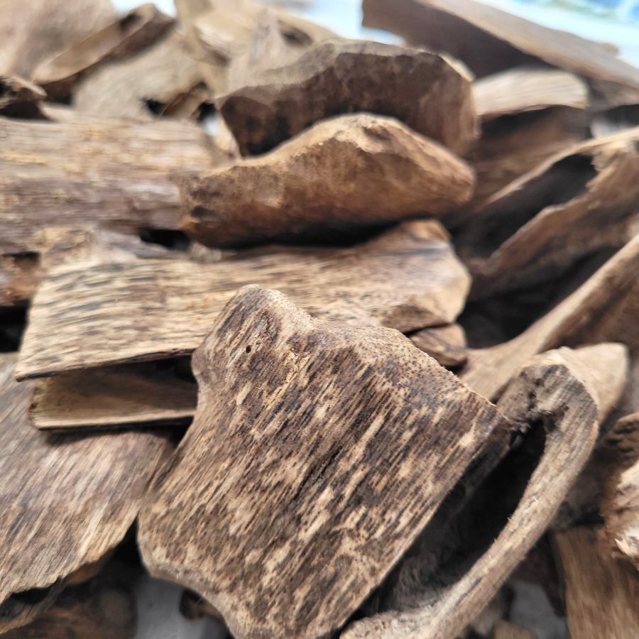 TRẦM HƯƠNG Ổ KHOAN - CANTIVATIVE AGARWOOD- HD01