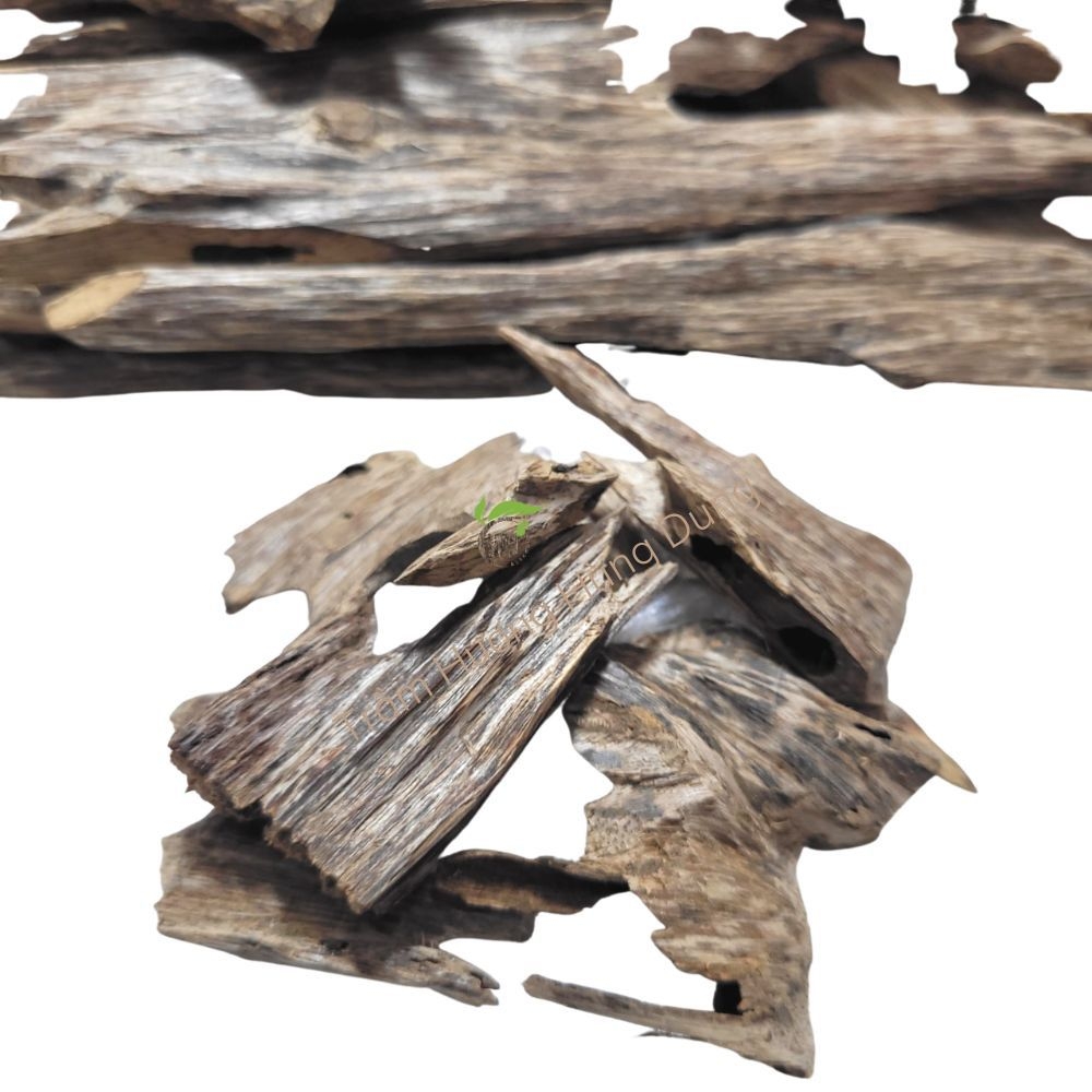TRẦM MIẾNG TỰ NHIÊN - NATURAL AGARWOOD - HD05