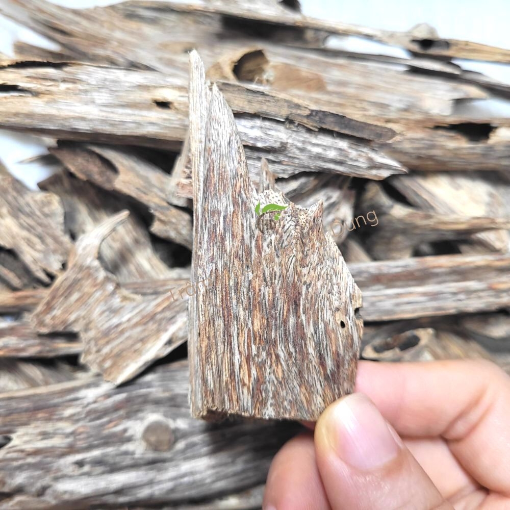 TRẦM MIẾNG TỰ NHIÊN - NATURAL AGARWOOD - HD06