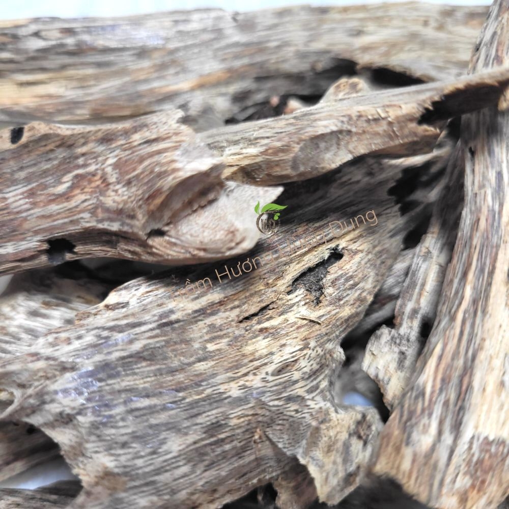 TRẦM MIẾNG TỰ NHIÊN - NATURAL AGARWOOD - HD05