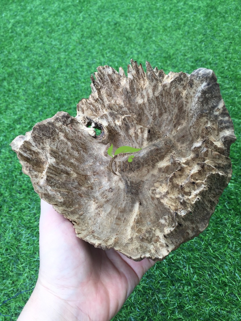 TRÂM HƯƠNG CAO CẤP LOẠI A 200 gram