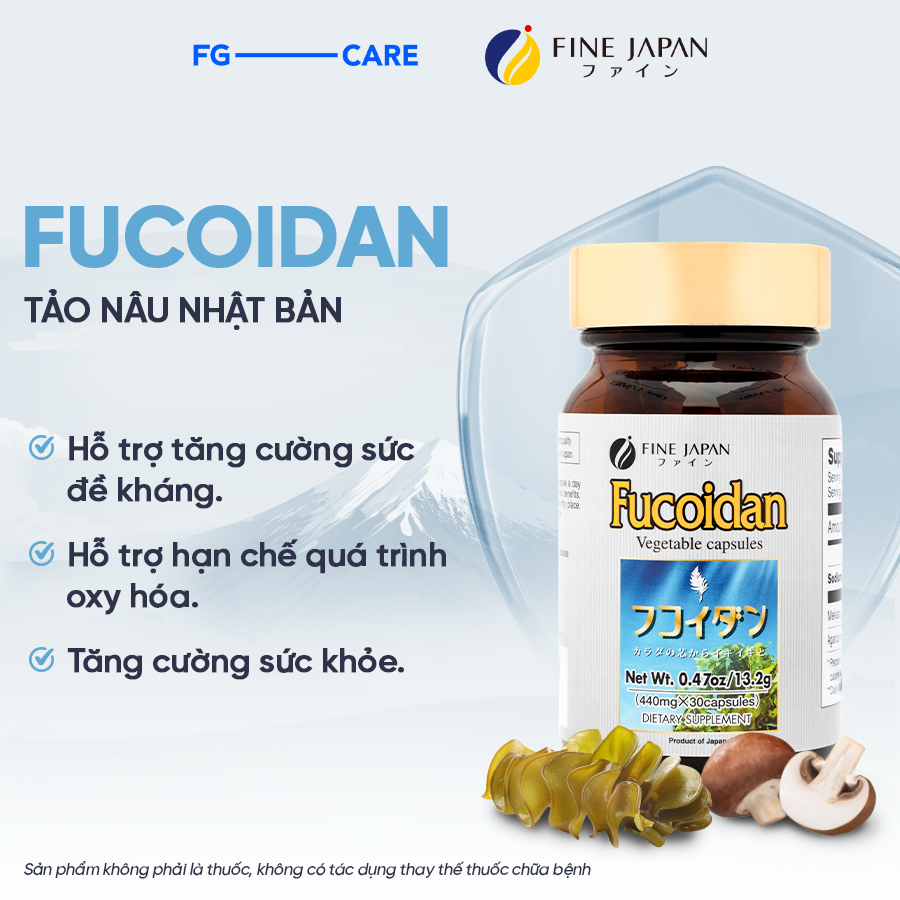 Viên uống hỗ trợ phòng ngừa và điều trị ung thư Fine Japan Fucoidan 30 viên