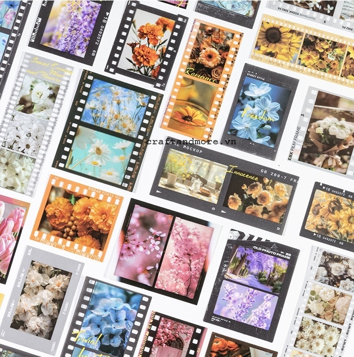 Sticker Film Vintage - điểm nhấn sản phẩm