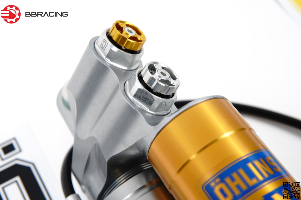 Giảm giá Bộ 4 tem thỏ Ohlins in thường  BeeCost