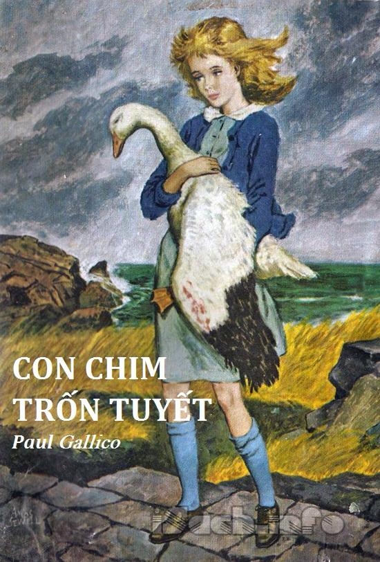 Con Chim Trốn Tuyết
