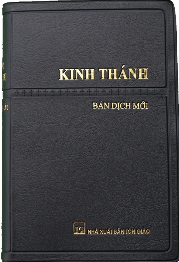 Thánh Kinh Tân Ước: Bản Dịch Mới