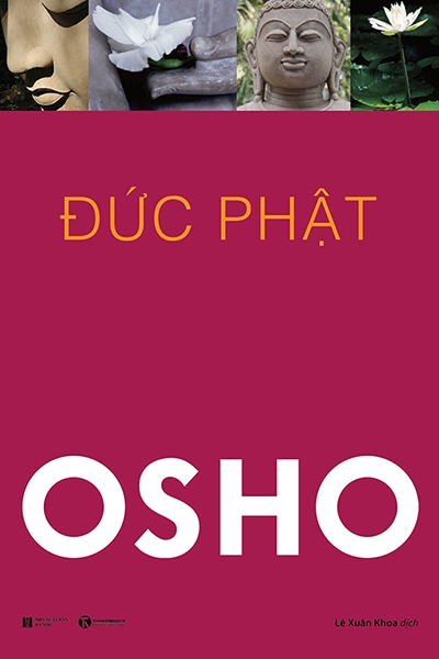 Đức Phật (Cuộc đời và giáo huấn)