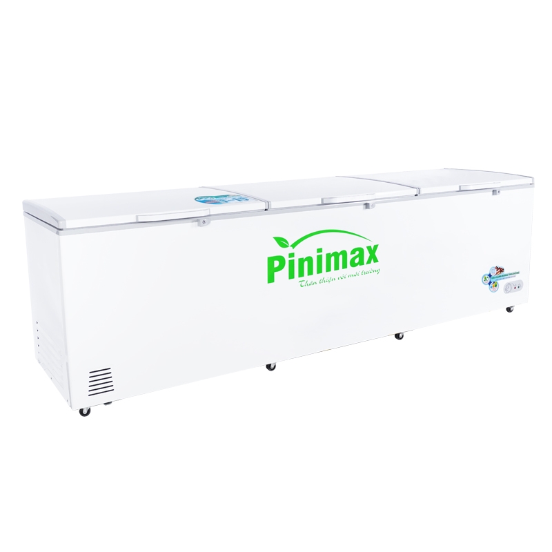 Tủ đông Pinimax PNM139AF