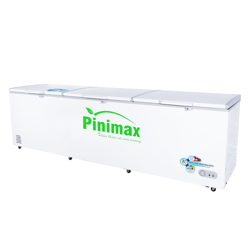 Tủ đông Pinimax PNM139AF