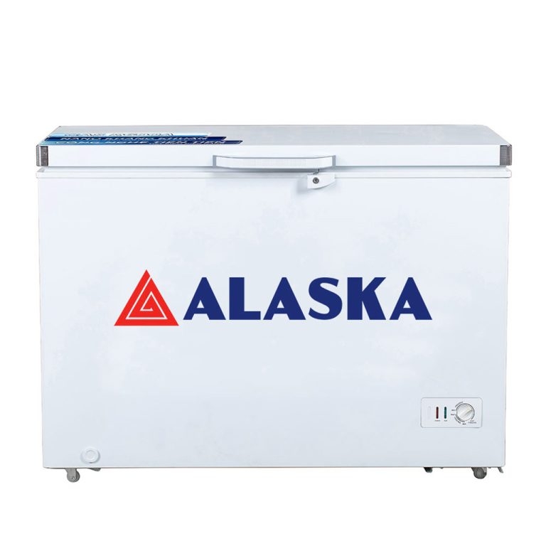 Tủ đông Alaska BD-300 1 ngăn đông