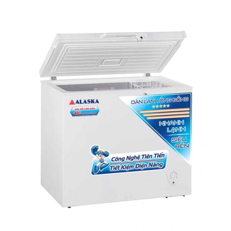 Tủ đông Alaska BD-300C 1 ngăn đông dàn đồng
