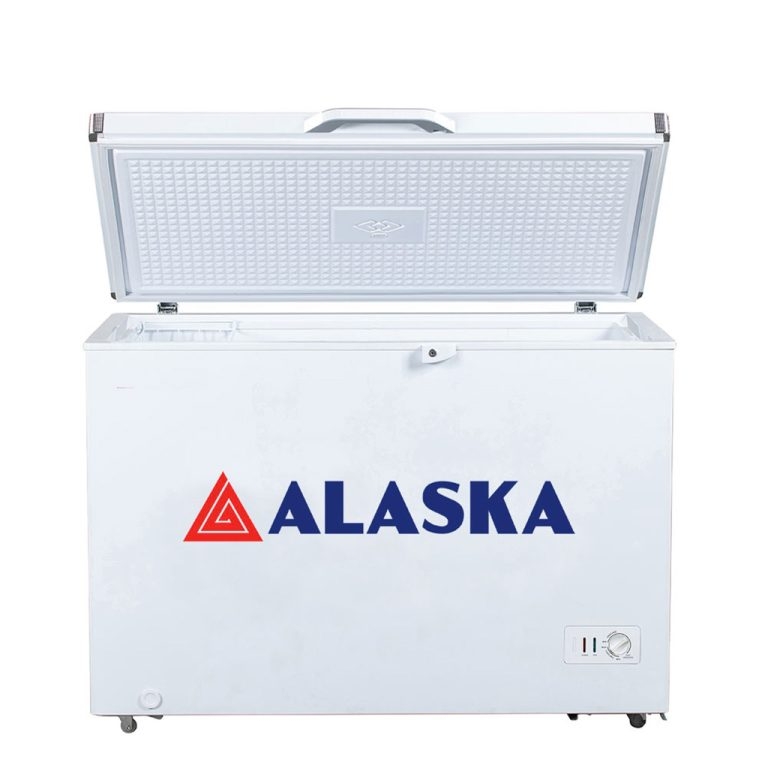 Tủ đông Alaska BD-300 1 ngăn đông
