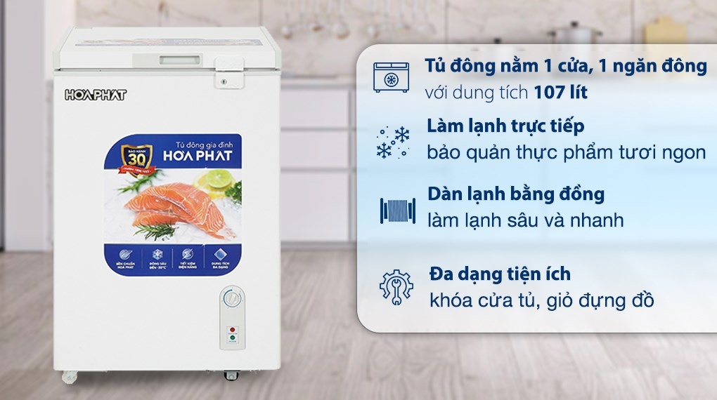 Tủ đông Hòa Phát mặt kính 1 ngăn 1 cánh HPF AD6107.T1 100 lít