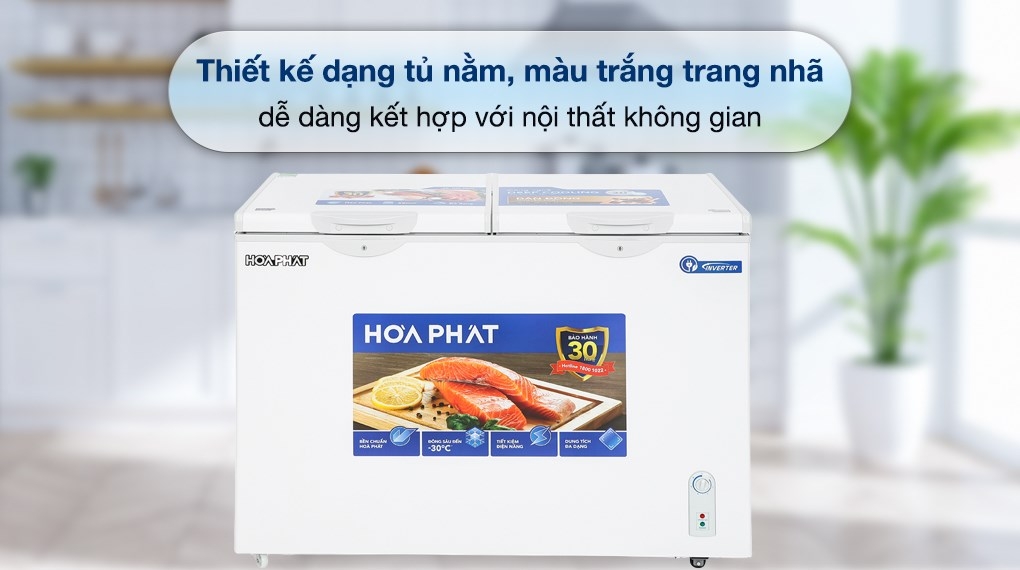 Tủ đông Hòa Phát Inverter 2 ngăn 2 cánh HCFI 656S2Đ2 656 lít dàn đồng