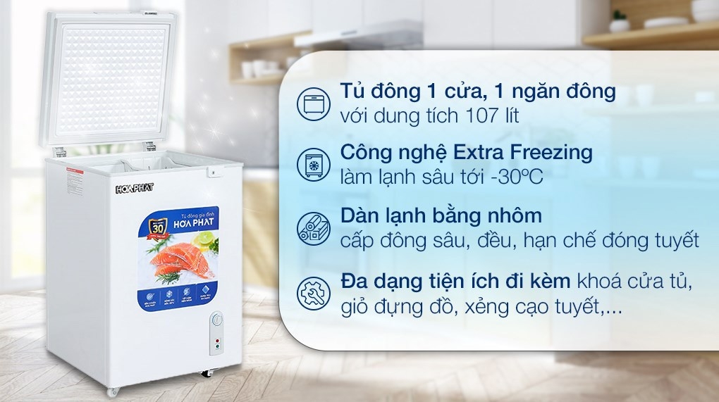 Tủ đông gia đình Hòa Phát 1 ngăn 1 cánh HCF 106S1N 110 lít