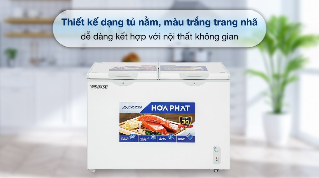 Tủ đông Hòa Phát 1 ngăn đông + 1 ngăn mát  2 cánh HPF BD6245 DÀN ĐỒNG