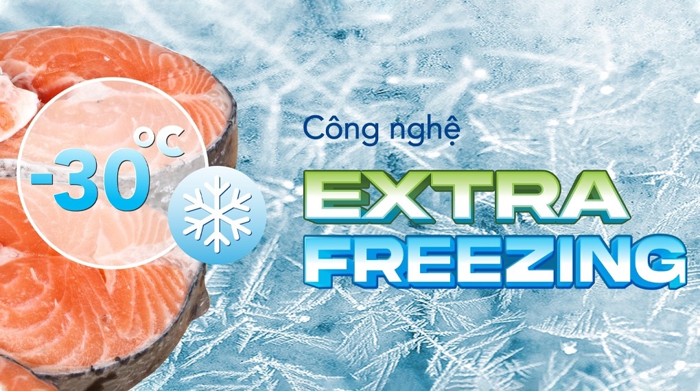 Tủ đông Hòa Phát 245 Lít HPF BN6245 / HCF 606S2N2