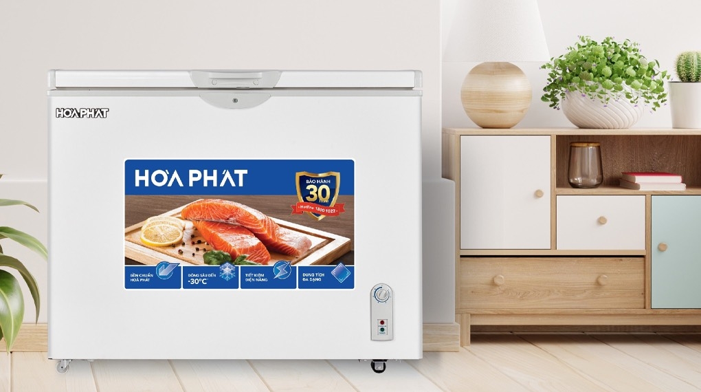 Tủ đông Hòa Phát 245 Lít HPF BN6245 / HCF 606S2N2