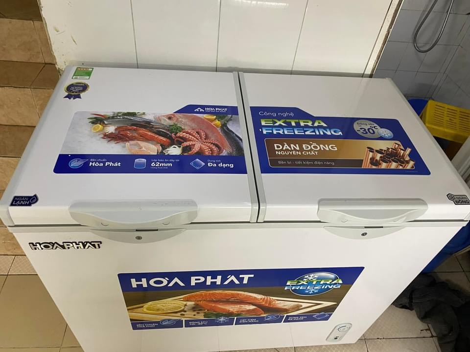 Tủ đông Hòa Phát HPF BD6240 240 lít