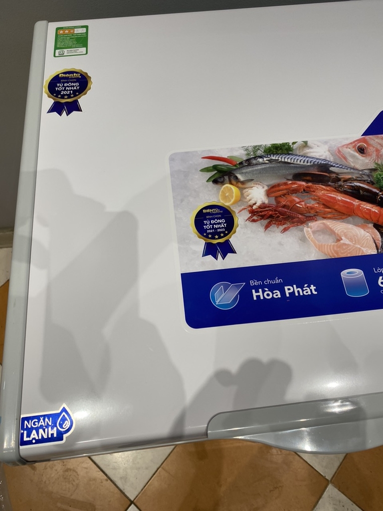 Tủ đông Hòa Phát HPF BD6330 330 lít