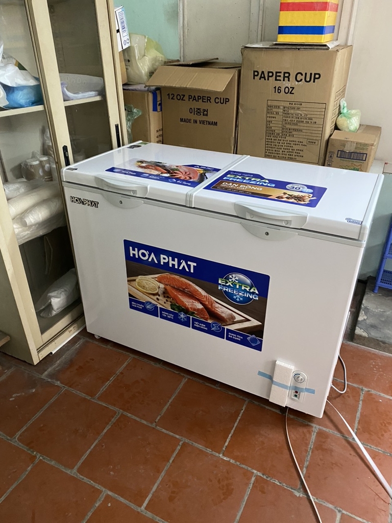 Tủ đông Hòa Phát HPF BD6295 295 lít