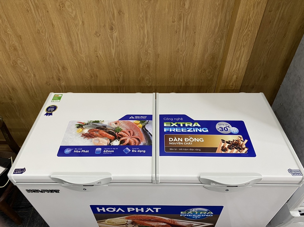 Tủ đông Hòa Phát HPF BD6295 295 lít