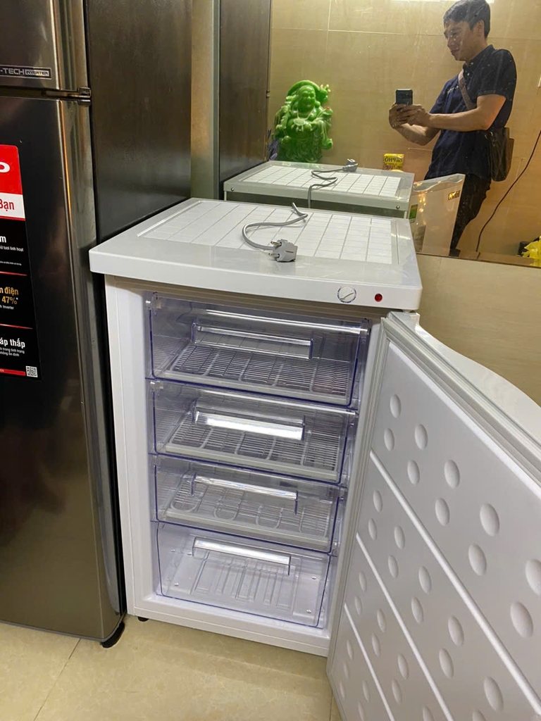 Tủ đông Hòa Phát đứng HPF UAH6106 110 lít