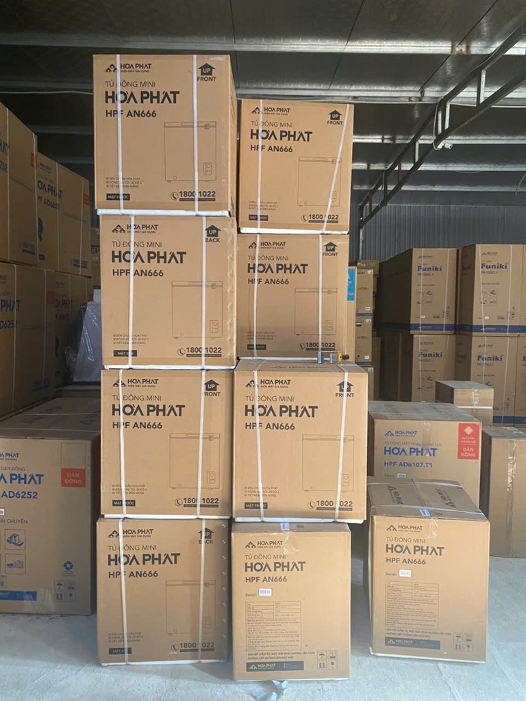 Tủ đông mini Hòa Phát HPF AN666 66 lít