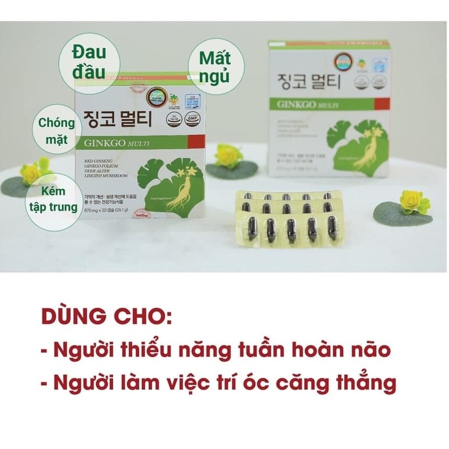 Viên bổ não GINKGO MULTI