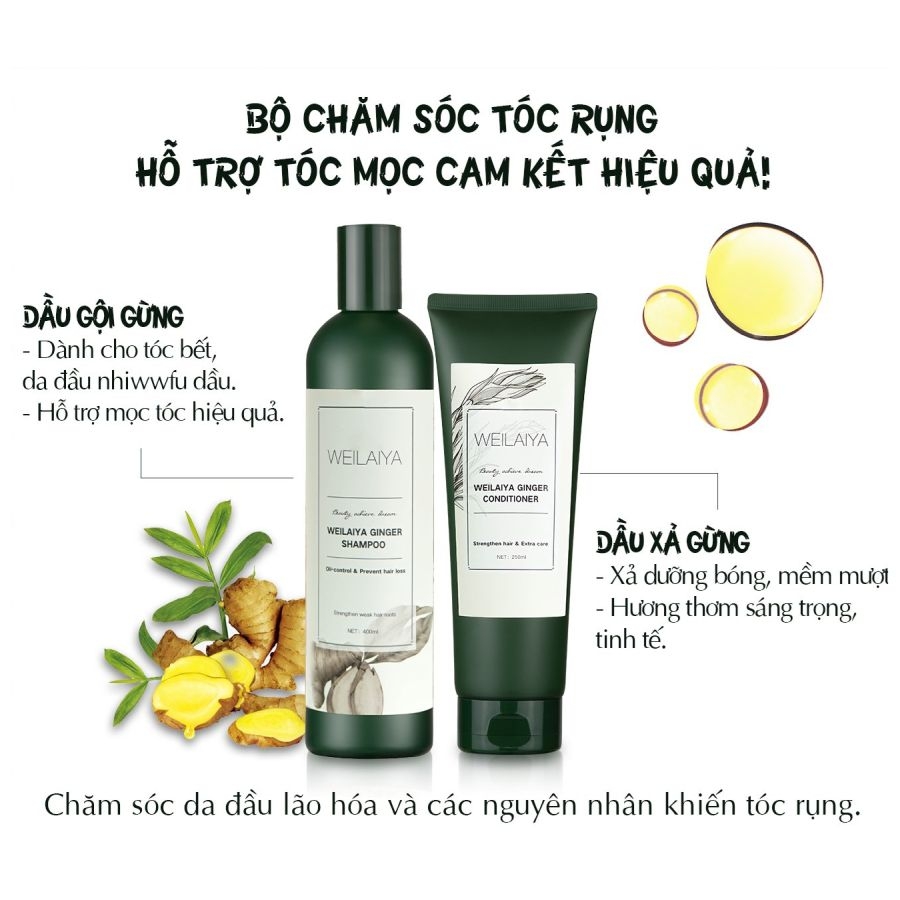 Weilaiya Ginger Cặp Dầu gội xả GỪNG TRẮNG kích mọc tóc (tặng kèm set mini)