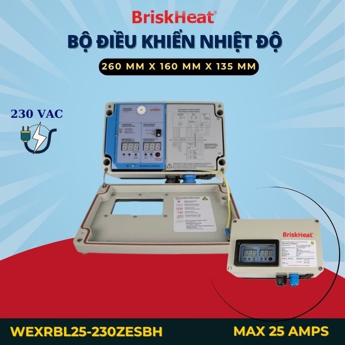 Bộ điều khiển kỹ thuật số khu vực nguy hiểm ATEX Model WEXRBL25-230ZESBH
