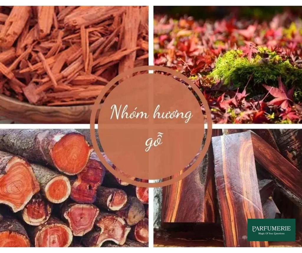 Nhóm hương gỗ