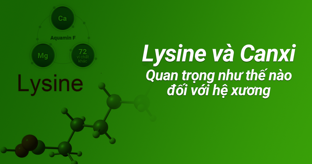 LYSINE VÀ CANXI QUAN TRỌNG NHƯ THẾ NÀO ĐỐI VỚI HỆ XƯƠNG