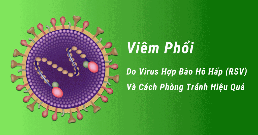 Viêm Phổi Do Virus Hợp Bào Hô Hấp (RSV) Và Cách Phòng Tránh Hiệu Quả