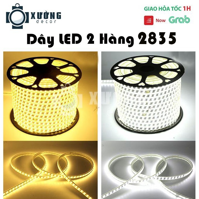 Led dây