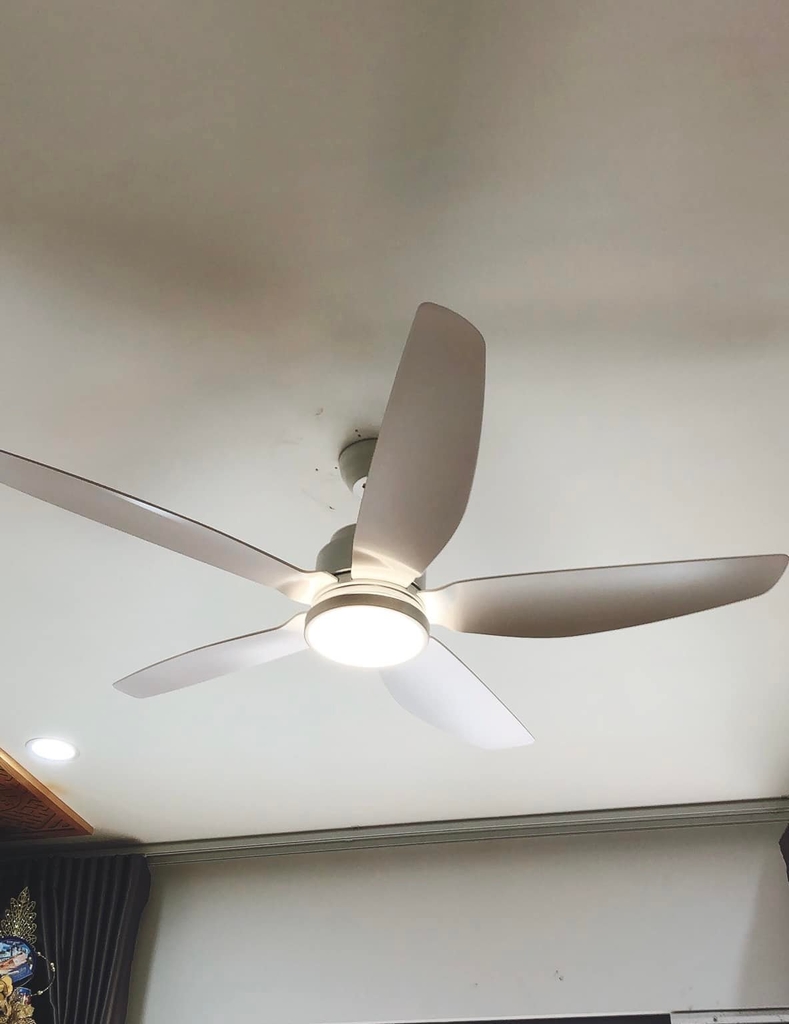 Quạt trần đèn cao cấp 5 cánh XD-2266