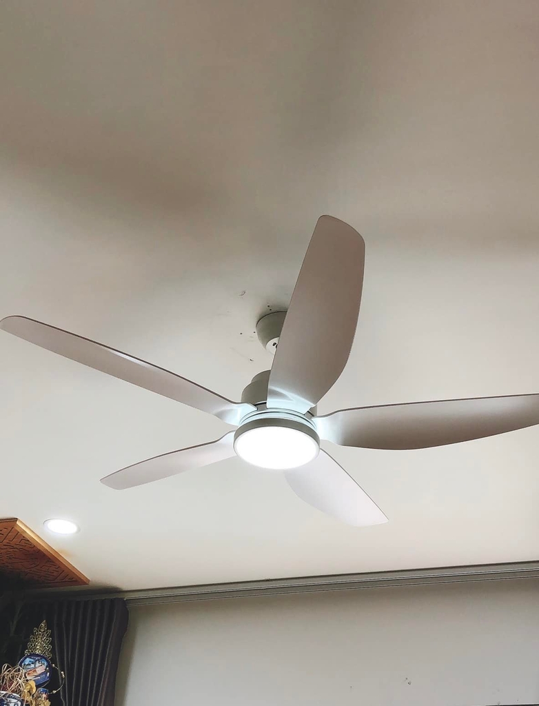 Quạt trần đèn cao cấp 5 cánh XD-2266