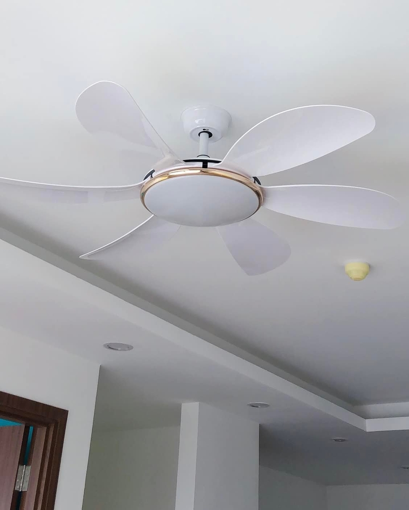 Đèn quạt 6 cánh XD1368