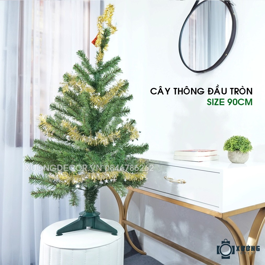 Cây thông xanh 2 loại lá đầu tròn tán dày LP_19TT